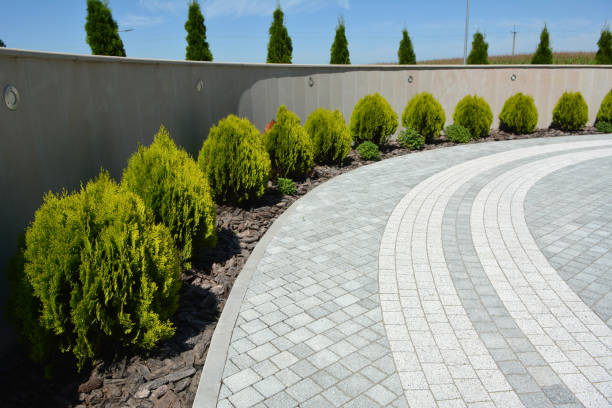 Best Decorative Driveway Pavers  in Rock Springs, NM